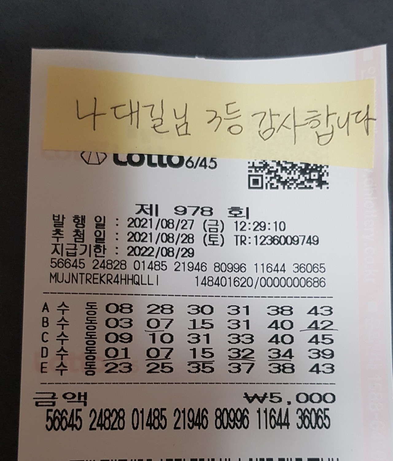 978회_3등.jpg