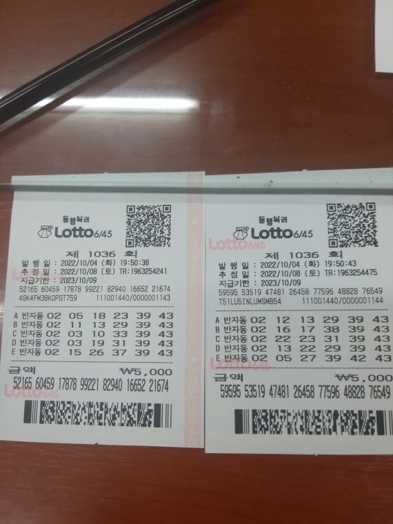 1665233920397-1.jpg