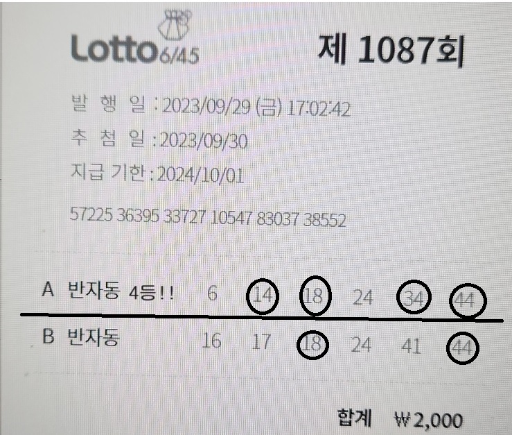 인터넷 로또 1087회 2(당첨인증).jpg