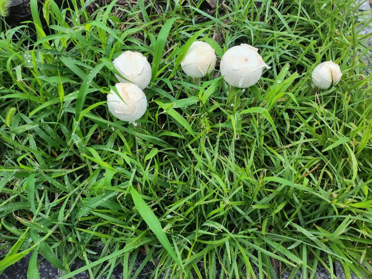 20230712_060302.jpg