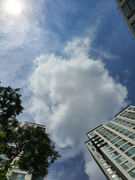20190826_105945.jpg