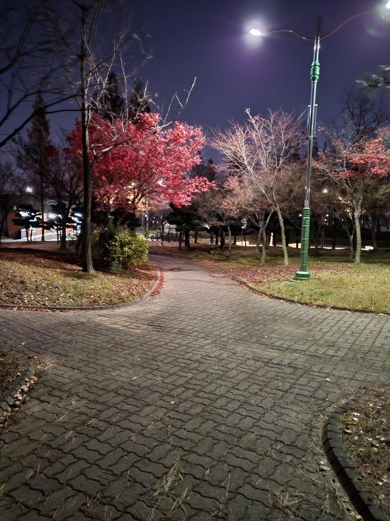 20211125_055128.jpg