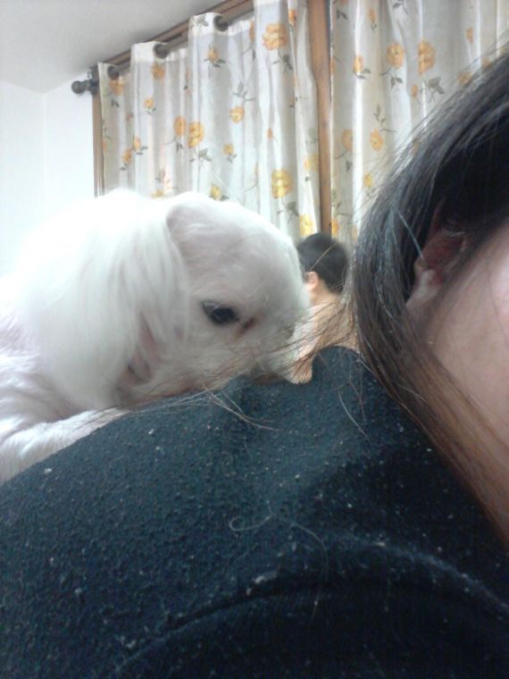 20150407_195044.jpg
