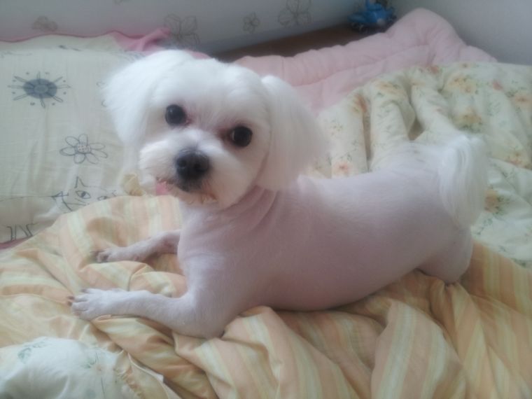 20140423_162404.jpg