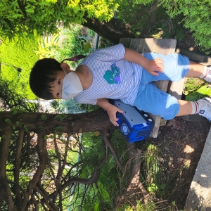 허철영