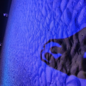 단단
