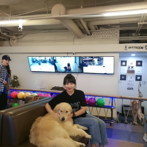 쪼알이