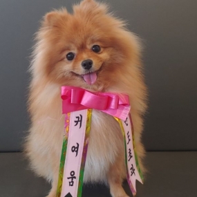 귀여움한도초과