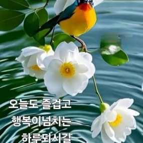 상쾌한 아침 입니다^^