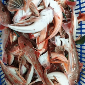 오늘도 낚시를 왔네요 ㅎㅎ