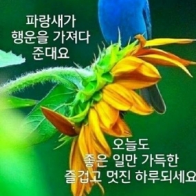 행복하세요~~