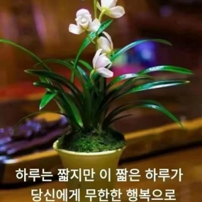좋은하루^^