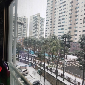 오늘 대전에 눈이 왔습니다