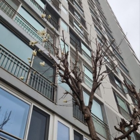 여기도 봄이 왔네요~