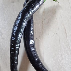 이게 뭘까요?
