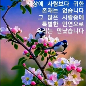 아침인사
