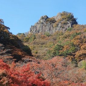 내장산 단풍구경~