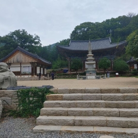 장안사에 왔어요