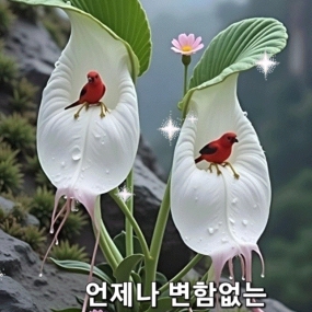 좋은아침