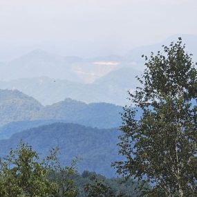 산중턱에서  캠핑
