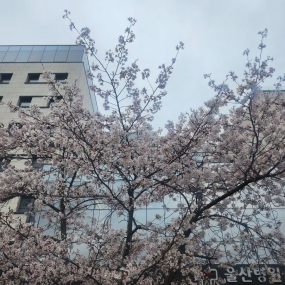 절에다녀왔어요^^