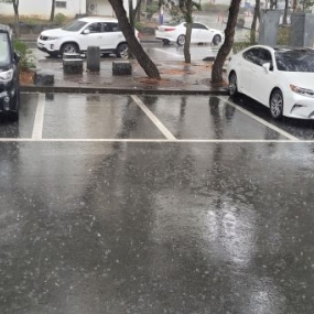 천둥과함께 봄비가 오네요~^^