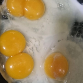 ●쌍란이 연달아 두개가?? 오신기~ ㅎㅎ●