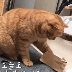 오늘도 안녕하세요 ㅋ