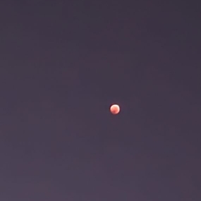 울산 밤 하늘에 붉은달 이 떴어요~^^