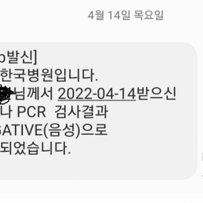 심장이 쫄깃쫄깃(?) 해지는 코로나19 PCR 검사 ..