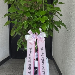 귀여운 울신랑~ ㅋ