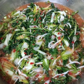 물김치 까지