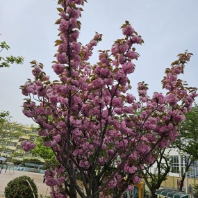 상쾌한 아침이네요~^^