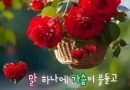 행복한하루^^