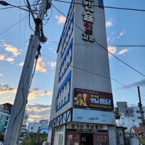 강릉 원정 왔습니다