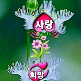 좋은아침입니다^^
