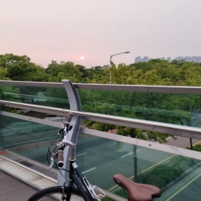 오늘은 과연 몇등 할수 있을까요?