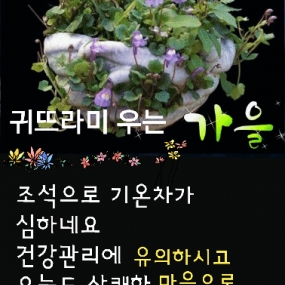 가을~~