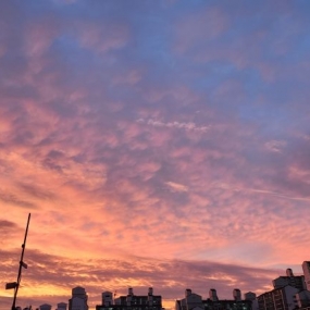 오늘은 노을입니다~
