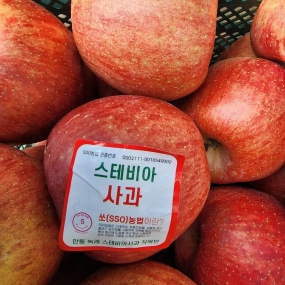 스테비아 사과