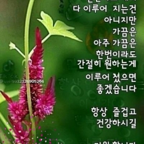 6월의 바램^^