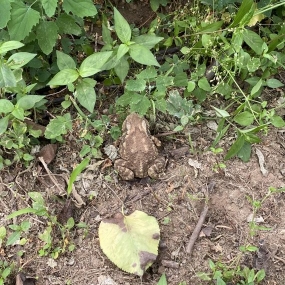 오랜만이죠?