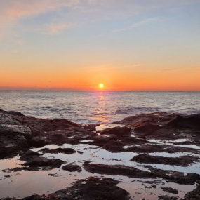 2026년도는 로또1등 됩니다