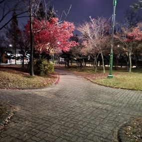 지금 이순간) 새벽 걷기 운동~^^