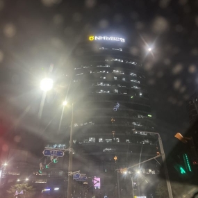 어쩌다 농협본점 대길형 추천책이라해서 용기내서 사야져