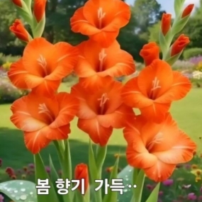 행복한 하루되세요^^