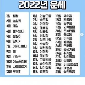 2022년 운세