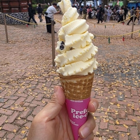 오늘은 남이섬 다녀왔어요~