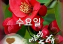 행복은 언제나 마음속에있는것