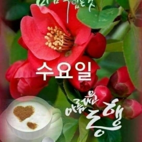 행복은 언제나 마음속에있는것